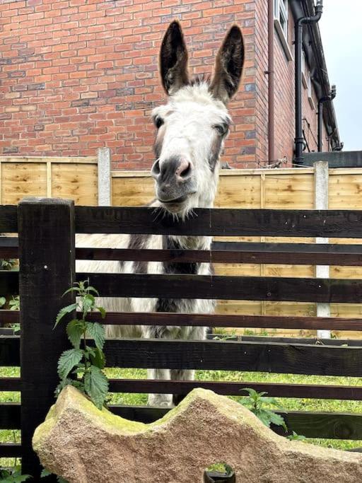 4 Bedroom - Sleep 9 Home In Cheadle Staffordshire - Alton Towers Polar Express Dimmingsdale Peak District Trentham Gardens Water World Esterno foto
