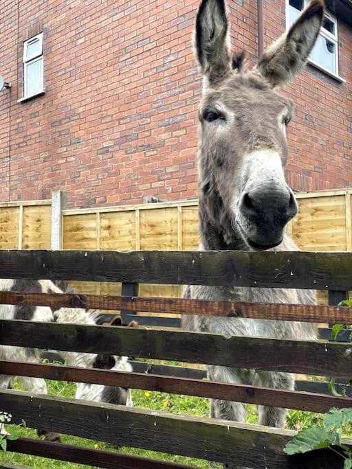 4 Bedroom - Sleep 9 Home In Cheadle Staffordshire - Alton Towers Polar Express Dimmingsdale Peak District Trentham Gardens Water World Esterno foto
